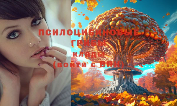 тгк Белоозёрский