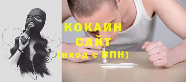 ГАЛЛЮЦИНОГЕННЫЕ ГРИБЫ Белокуриха