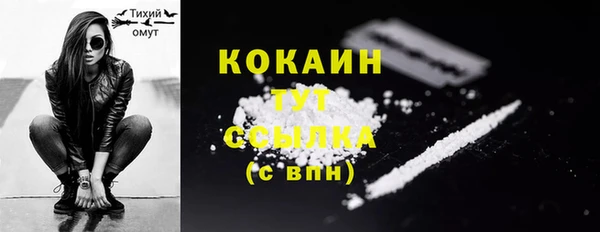 ГАЛЛЮЦИНОГЕННЫЕ ГРИБЫ Белокуриха