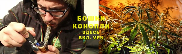 ГАЛЛЮЦИНОГЕННЫЕ ГРИБЫ Белокуриха