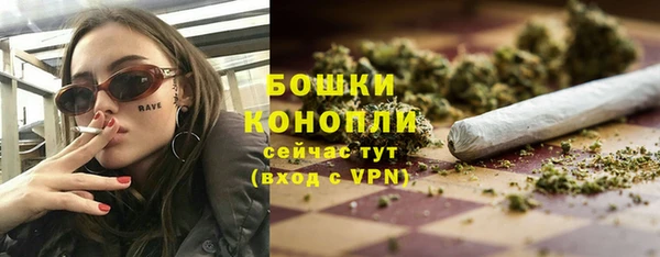 ГАЛЛЮЦИНОГЕННЫЕ ГРИБЫ Белокуриха