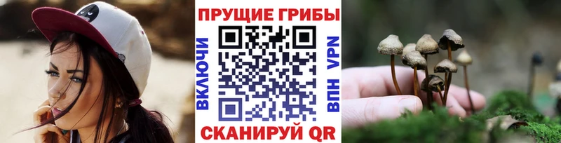 Псилоцибиновые грибы Psilocybine cubensis  купить   Острогожск 