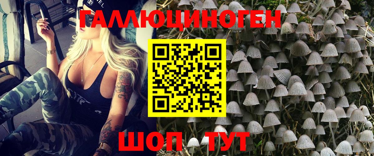 Галлюциногенные грибы GOLDEN TEACHER  Галлюциногенные грибы прущие грибы  Острогожск  Вход с VPN 