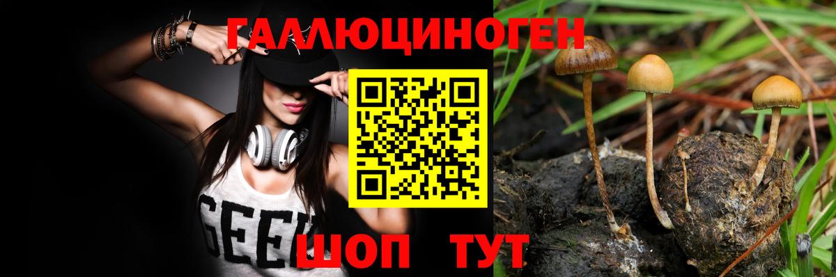 Галлюциногенные грибы GOLDEN TEACHER Острогожск
